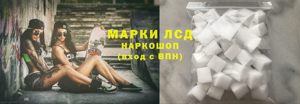 прущие грибы Алексеевка