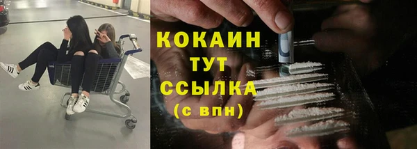 прущие грибы Алексеевка