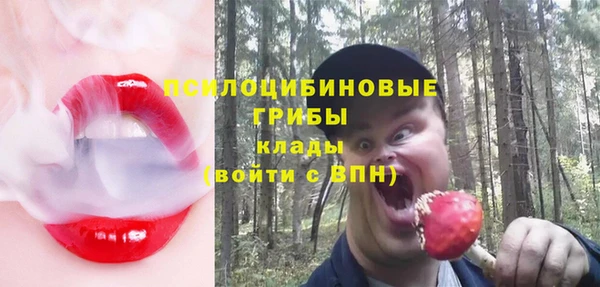 прущие грибы Алексеевка