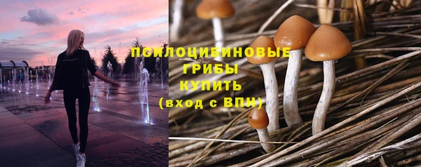 прущие грибы Алексеевка