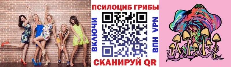дарнет шоп  omg ONION  Псилоцибиновые грибы Cubensis  Дно 