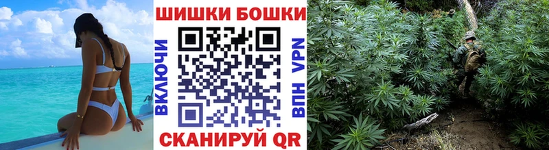 Шишки марихуана план Дно